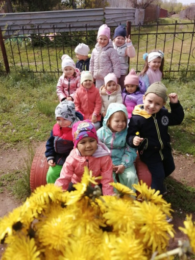 Прогулка наблюдение за одуванчиками Прогулка наблюдение за одуванчиками.